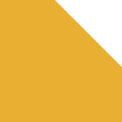 yellow-bg.png